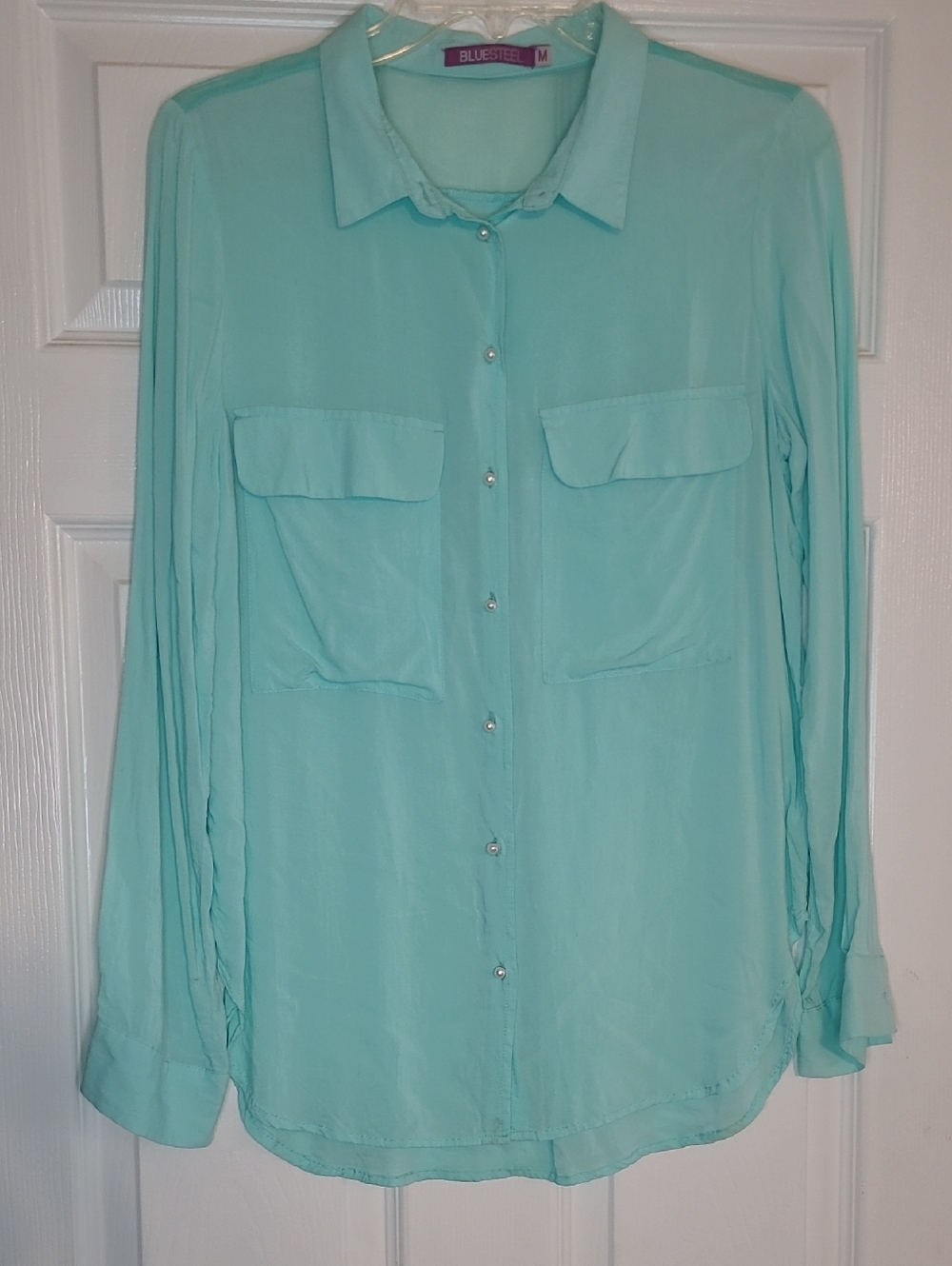 Bluestockings Sheer Button-Up Blouse in Mint